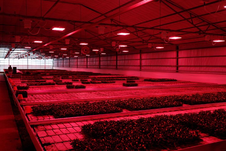 Lagere energiekosten dankzij HORTILED