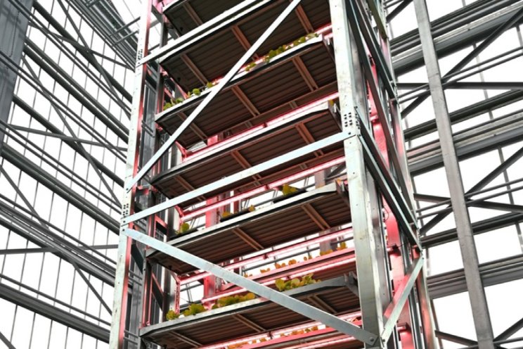 Verticalfarmingtoren in gebruik genomen