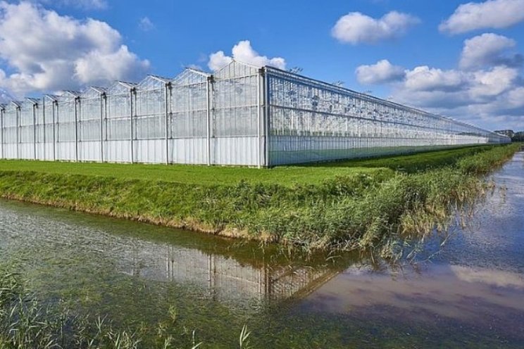 Private equity: zegen of vloek voor tuinbouw?