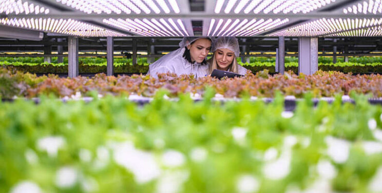 Vertical Farming centraal tijdens nieuwe vakbeurs