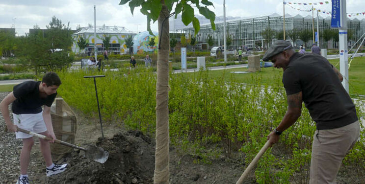 Rou Verveer plant speciale boom op de Floriade