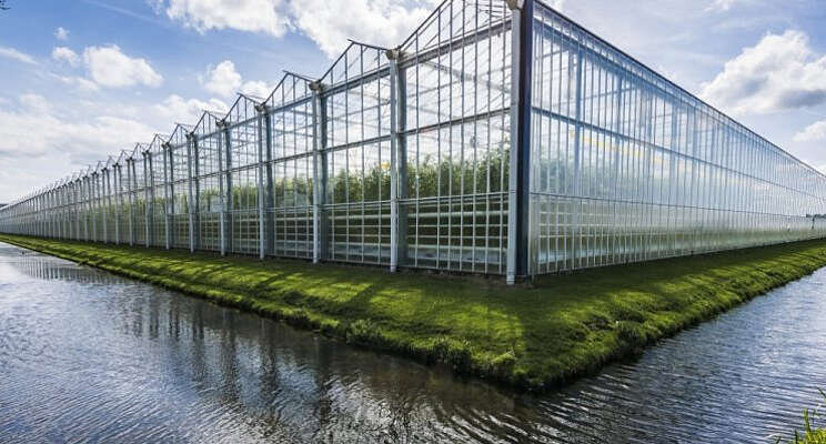 'Failliet tuinbouw bom onder klimaatbeleid'