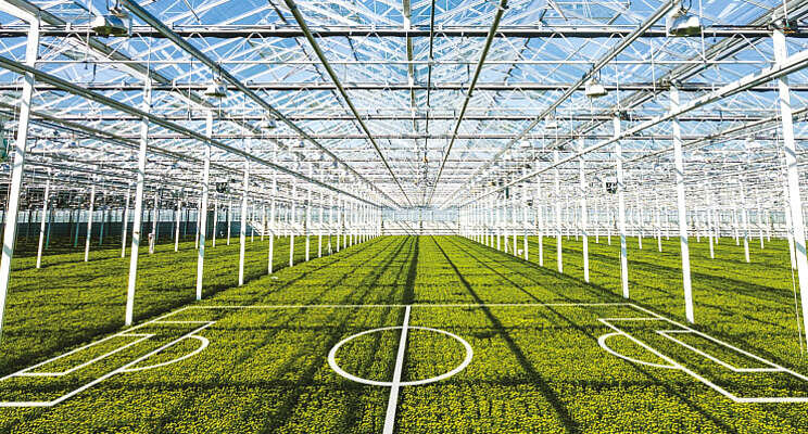 Horticoop-dag op KNVB-campus