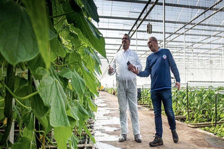 Ook bioteelt aan de slag met schermdoeken Ridder