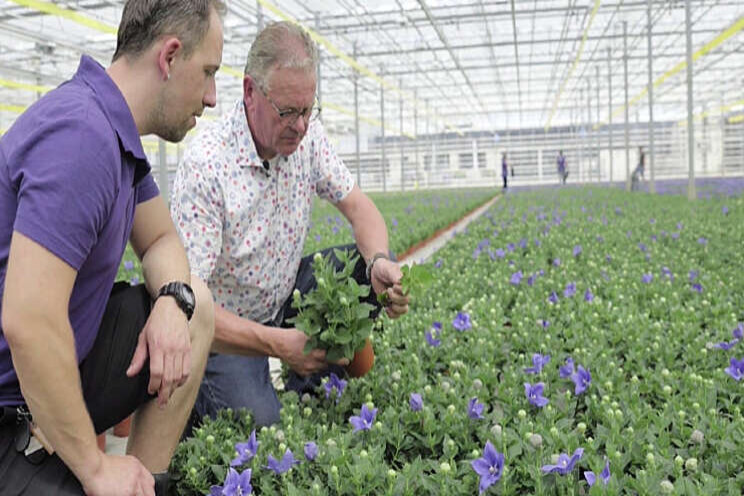 Video: Weerbaar telen bij WPK Vegetable Plants