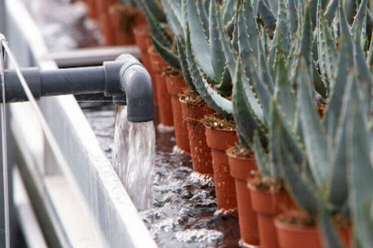 Next: actueel horti thema Water