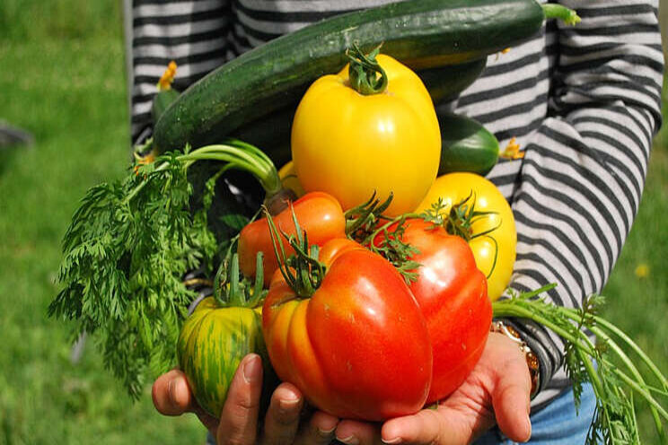 'Meer bio alleen met andere supermarkt'