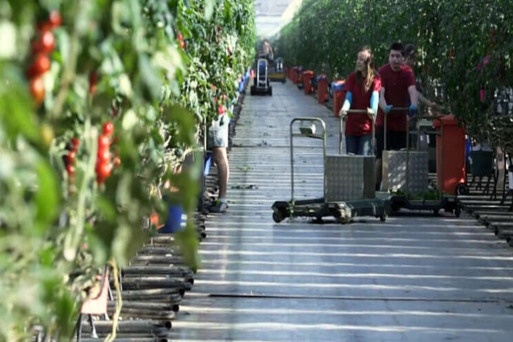 Harvest House richt bedrijf op in Verenigd Koninkrijk