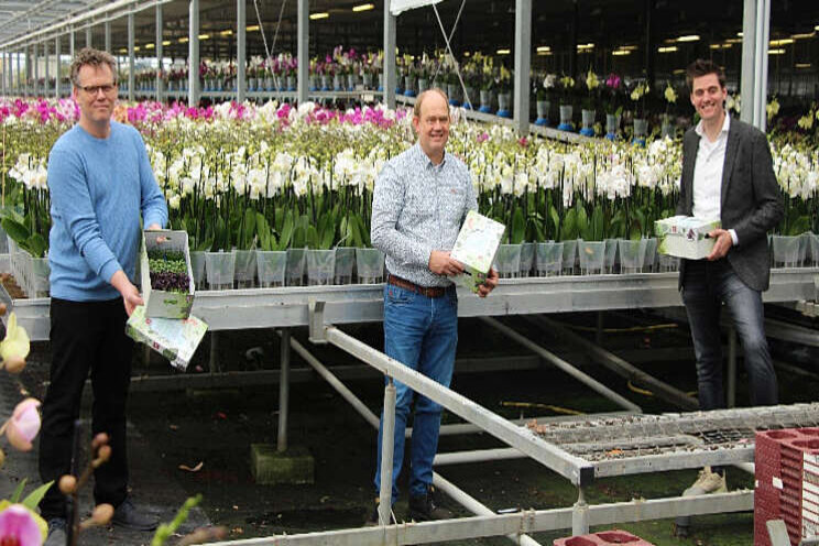 Gezonde cressen voor klanten van Koppert