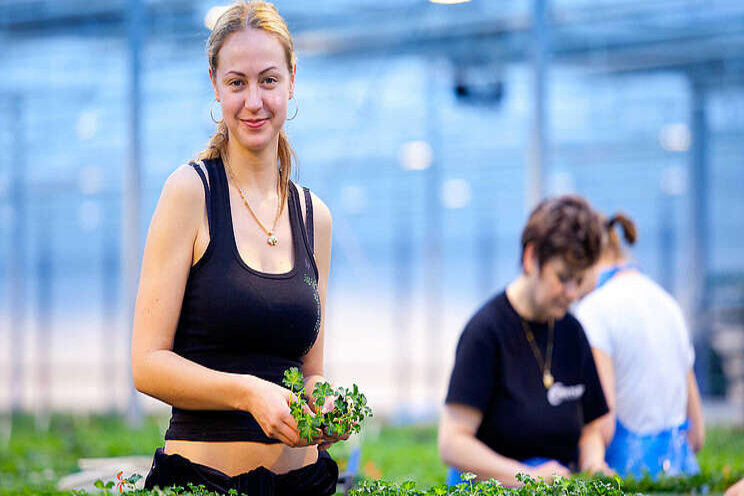 Greenport West-Holland onderschrijft noodoproep 